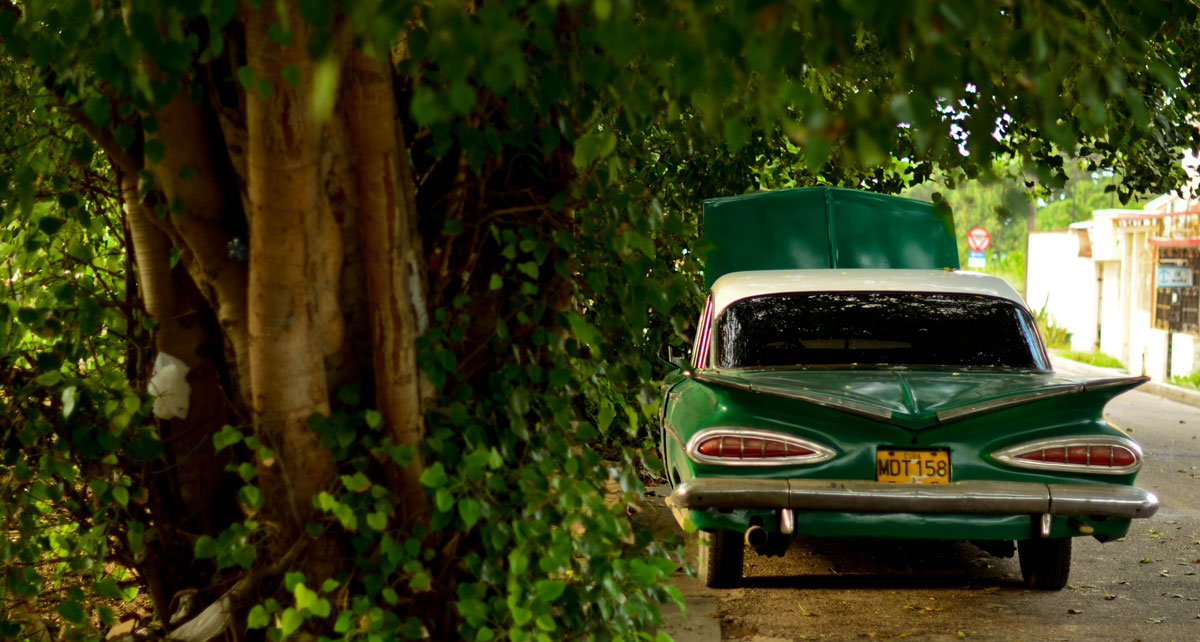 gallery-car-2 Donec eleifend ipsum eget enim tempus convallis.